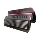 RAM
